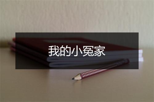 我的小冤家