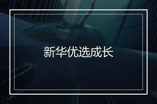 新华优选成长