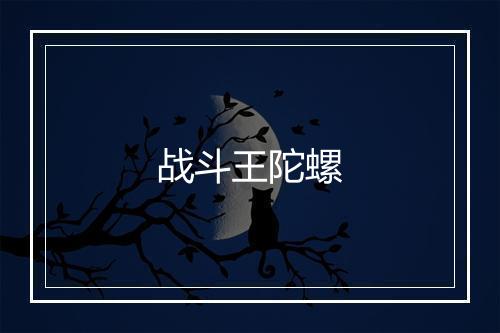 战斗王陀螺