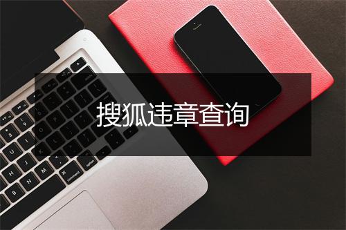 搜狐违章查询