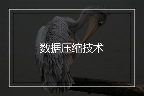 数据压缩技术