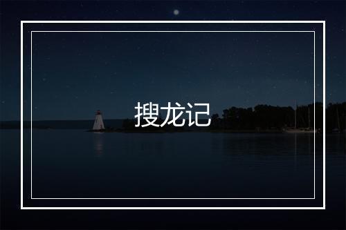 搜龙记