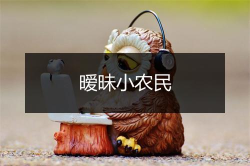 暧昧小农民