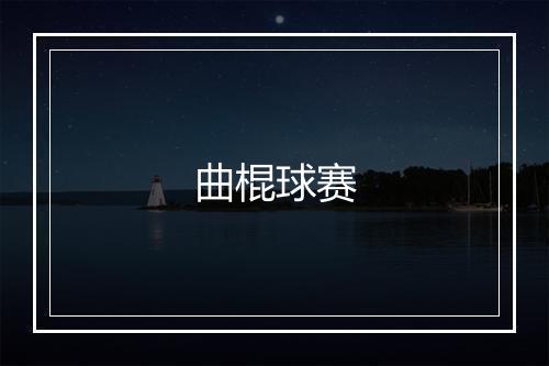 曲棍球赛