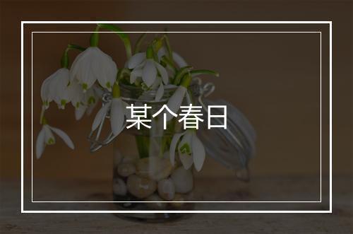 某个春日