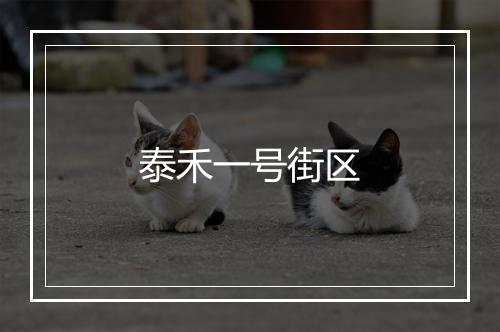 泰禾一号街区