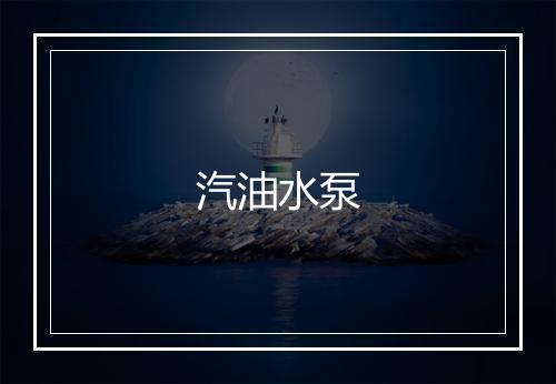 汽油水泵