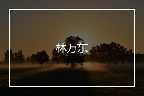 林万东