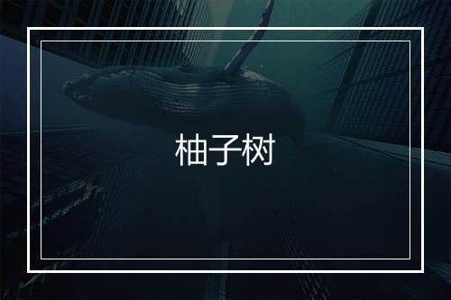 柚子树