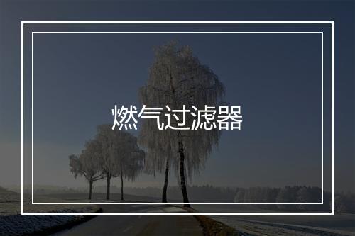 燃气过滤器