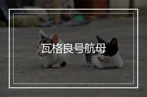 瓦格良号航母