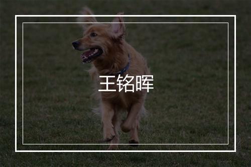 王铭晖