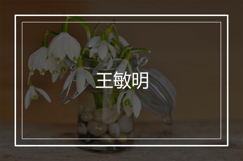 王敏明