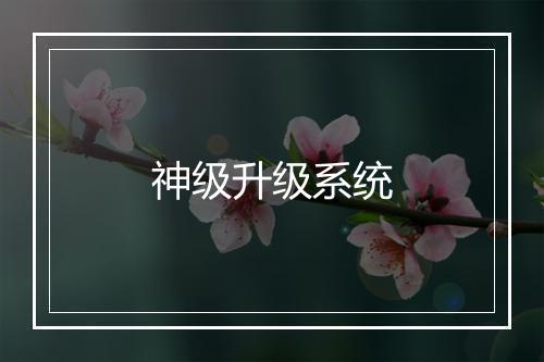 神级升级系统