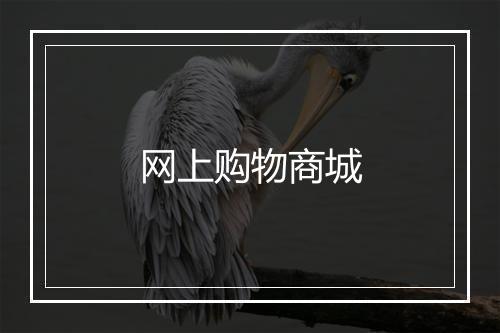 网上购物商城