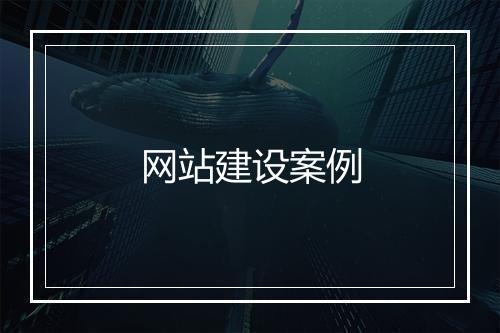 网站建设案例