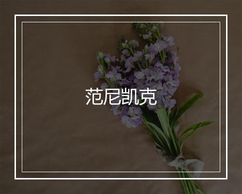 范尼凯克