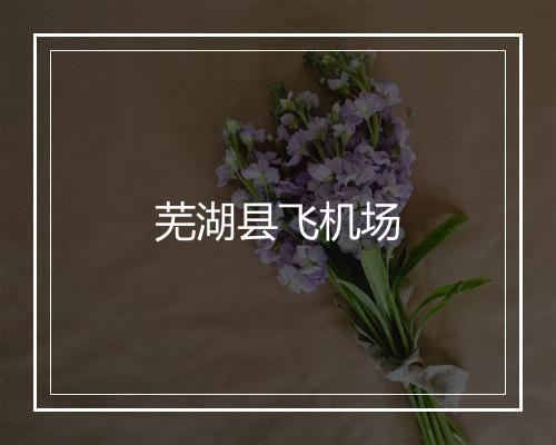 芜湖县飞机场