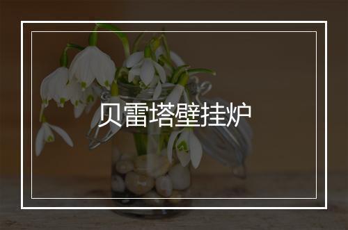 贝雷塔壁挂炉