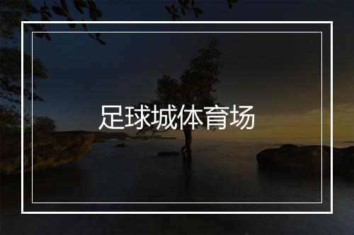 足球城体育场