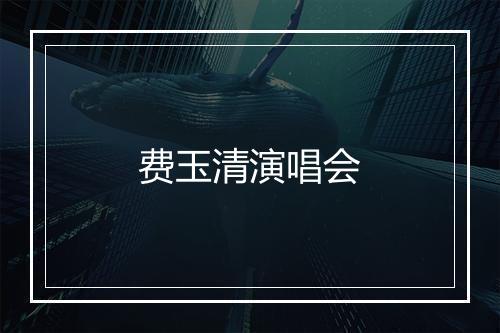 费玉清演唱会