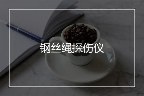 钢丝绳探伤仪