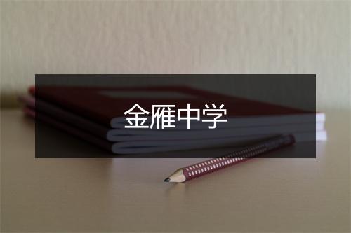 金雁中学