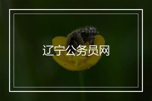 辽宁公务员网