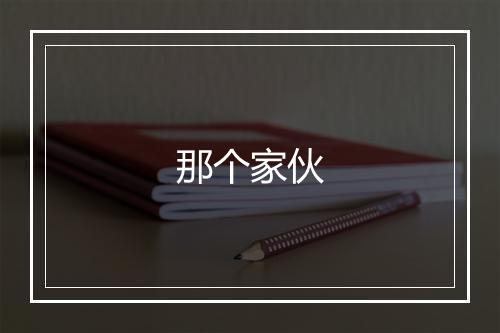 那个家伙