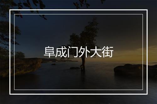 阜成门外大街