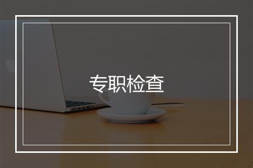 专职检查