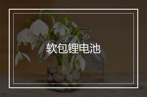 软包锂电池