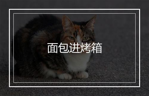 面包进烤箱