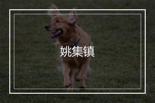 姚集镇