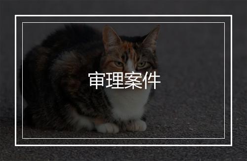 审理案件