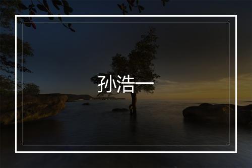 孙浩一