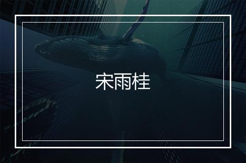 宋雨桂