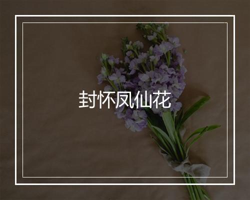 封怀凤仙花