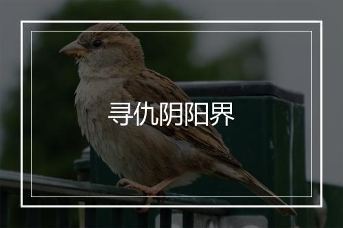 寻仇阴阳界