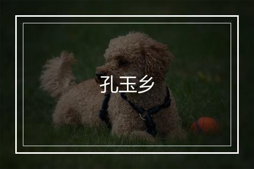 孔玉乡