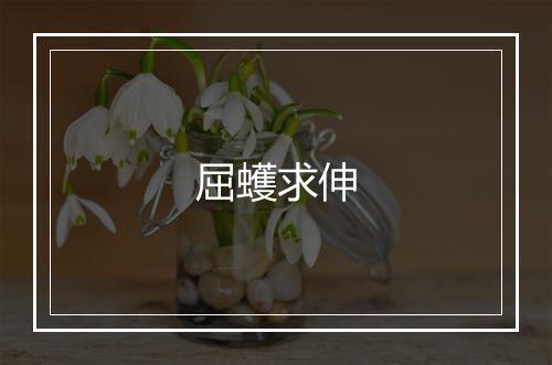 屈蠖求伸