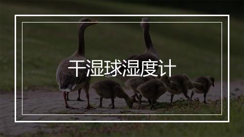 干湿球湿度计