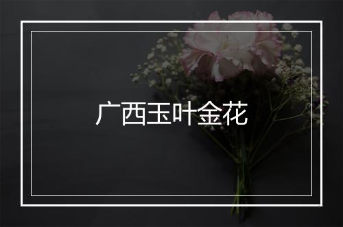 广西玉叶金花