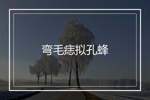 弯毛痣拟孔蜂