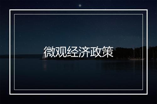 微观经济政策