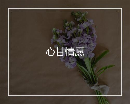 心甘情愿