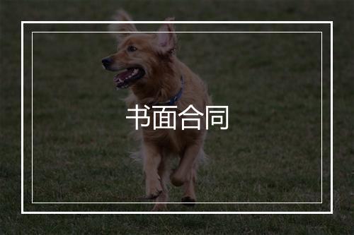 书面合同