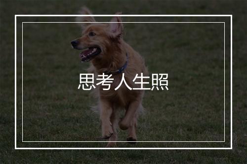 思考人生照