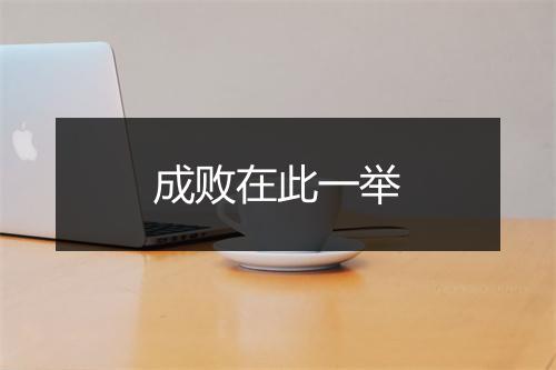 成败在此一举