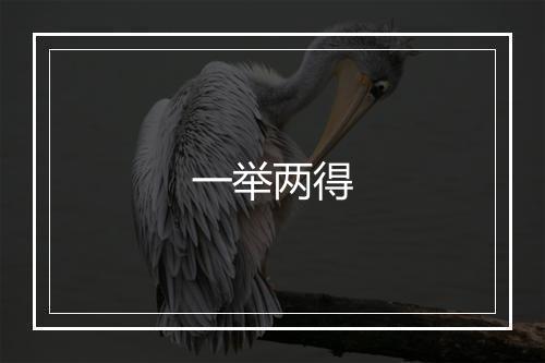 一举两得